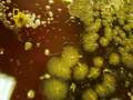 National-Geographic-