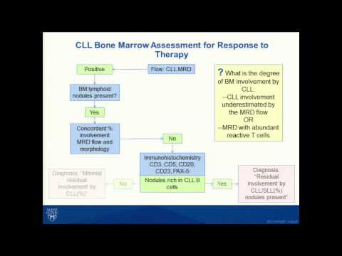 how to test b cell function