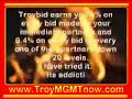 Free Facts of Troy Online Business