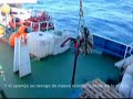 Carnicería en el oceano Indico - Slaughter in Indian Ocean