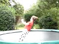 free-style trampolining