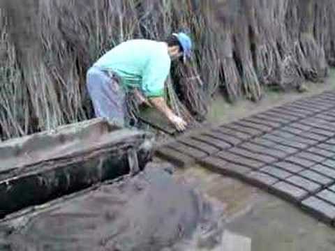 Ver Video