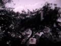 Tornadic storms