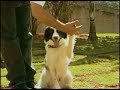 Bio Pet
