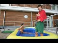 melhores momentos da selecção portuguesa