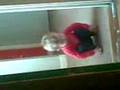 videos de MAD BABY DANIEL moonwalk