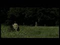 Juli - Geile Zeit [Awesome Time]