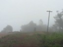 Pico da Tijuca com Chuva Pico da Tijuca com Chuva