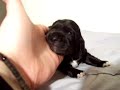 Sally - 2 weeks Sally - 2 weeks