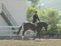 Sky'cz The Limit 4 year old West Coat IHF US Champion