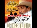 TRAIGO LA SANGRE CALIENTE / TIGRES - RAUL HDZ