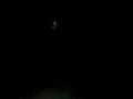 roger-waters-coachella-pig-floats-away-2008.html