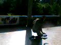 break dance    JAM cesano