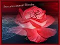 WWW.MUSLUMANNESİL.COMWWW.MUSLUMANNESİL.NETİSLAMİ SOHBETİN İSLAMİ FORUMUN TEK ADRESİ