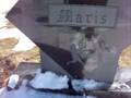 ROGER MARIS NY NEW YORK YANKEES HOME RUN HR KING GRAVESITE AT CEMETERY IN FARGO ND NORTH DAKOTA 61* NO STERIODS 1961 61st Stadium