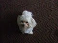 uchi-does-his-tricks.html