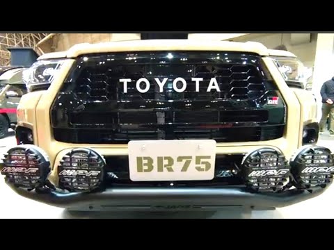 Toyota HIlux Motorhome