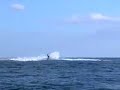 videos Surf