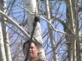 Gerber® Extendable Saw / Pruner Gerber® Extendable Saw / Pruner