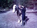 tinker feija   going brideless!