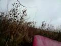 videos de RC Modellsegelfliegen mit Handy an Board