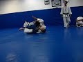 Royce Gracie\