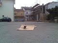 salto moto