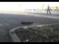 videos de Pro Skater