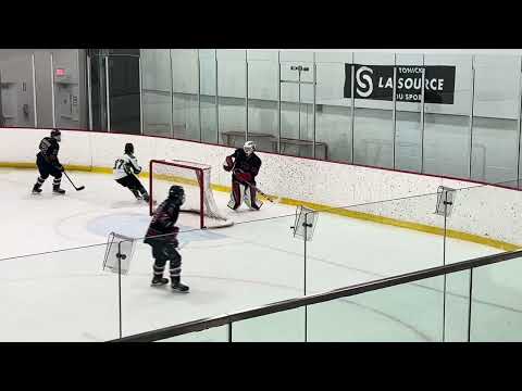 Puck playing abilities