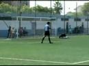 yanira cadete b