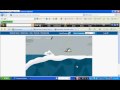 SURFIN BIRD CLUB PENGUIN