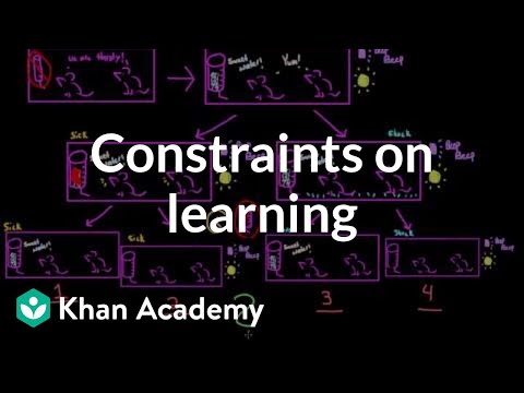 biological constraints on learning