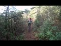 Elliotts Knob - North Mountain Trail