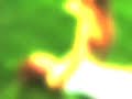 spirit fingers