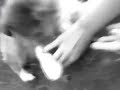spirit fingers