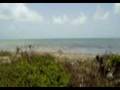 the (bumpy) road to Placencia