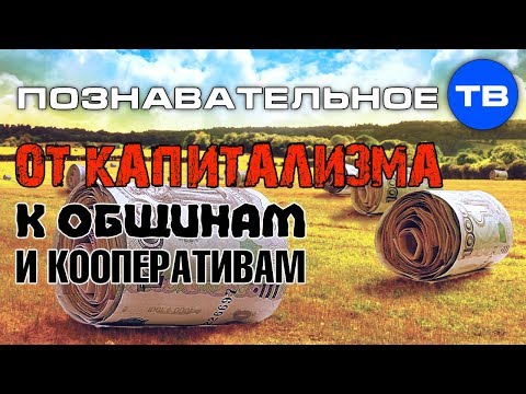 Смотреть видео на alushta24.org