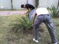 videos de JARDINERA EDIFICIO H (PARTE 2)