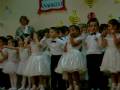 fareden korktu kedi yigitcan EFE fareden korktu kedi yigitcan EFE