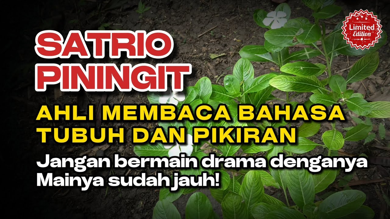 SATRIO PININGIT: Ahli membaca bahasa tubuh dan pikiran