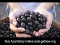 acai berry breeze scottsdale az