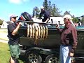 June 23rd Walleye on Little Bay de Noc