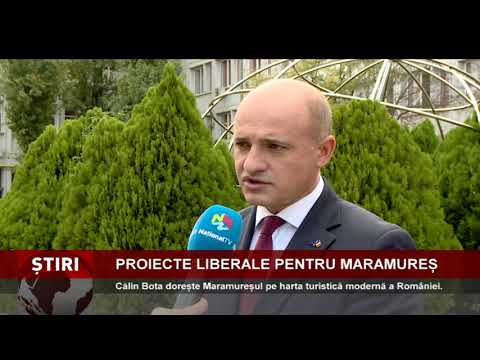 Proiecte liberale pentru Maramureș