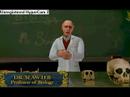 Official Scholarship Edition Trailer 3 - \ Official Scholarship Edition Trailer 3 - \