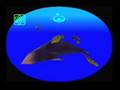 Yellowfin Pearlfish