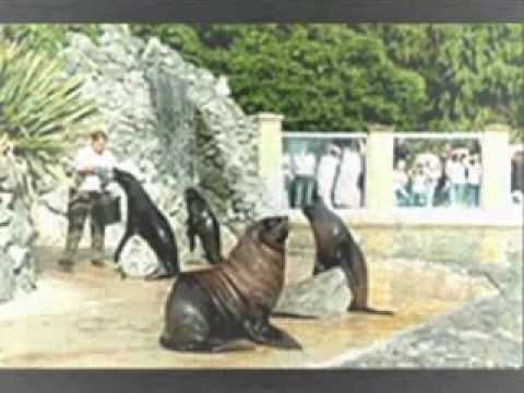 The Norwich Eskimo Song
