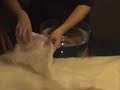 A CrunchyParent.com video tutorial demonstrating a variety of wet felting techniques used to make a 100% wool ball, perfect for gentle indoor play, baby toys, or even toys for your pet (cats love 'em). Needle felting embellishments demonstrated in Part 2 of this two-part Crunchy Parent craft tutorial.