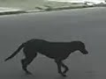 Jajaja en la casa de leo  :P