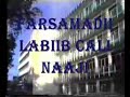 Xamar when it was clean of habargidir cancer