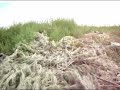 !Bravo! megaobra de alcalde perredista de Valle de Chalco !Bravo! megaobra de alcalde perredista de Valle de Chalco